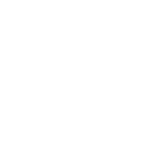 Bros Burger